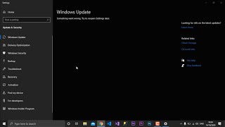 Windows 10 Update  Something went wrong try to reopen settings later [upl. by Kemeny79]