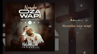 Nelson Tshi  NZAMBE OZA WAPI official Lyric audio [upl. by Acnaib]