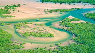 Magic of Nature from Above Beauty Captured by Drone [upl. by Freya143]