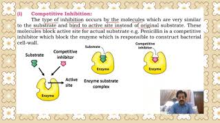 Chapter 2  First year Biology  Enzymes Part 11 Enzyme inhibition  Sindh Text Board [upl. by Gristede934]