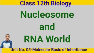 NucleosomeClass 12th Biologydrnyr755 [upl. by Iam]