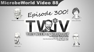 Podcast about Viruses Celebrates its 300th episode  TWiV 300 [upl. by Gayner604]