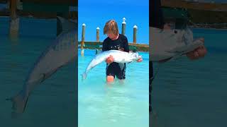 Catching Bahamas tarpon With A Travel Rod [upl. by Dorehs]