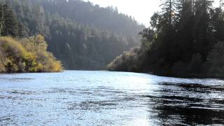 Russian River at Villa Grande Steelhead Season Begins [upl. by Houston]