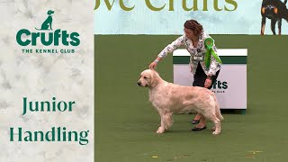 Cant get enough of them 🐶 International Junior Handling Competition Part 2  Crufts 2024 [upl. by Langelo382]