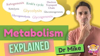 Metabolism Overview [upl. by Fran]