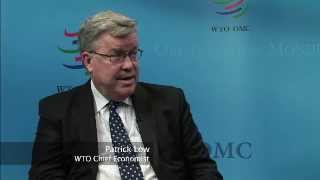 World Trade Report 2013  Factors shaping the future of world trade [upl. by Ahseniuq661]