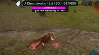 MAX LEVEL DIMORPHODON TAMING ARK SURVIVAL EVOLVED MOBILE [upl. by Lieberman]