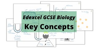 The WHOLE of Edexcel GCSE Biology KEY CONCEPTS [upl. by Nealey]