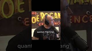 Joe Rogan  Yin Yang Quantum Entangled Photons joerogan [upl. by Dent103]