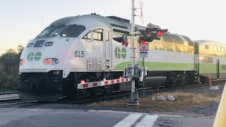 Metrolinx 615  Westbound GO Train Traveling On The Guelph Sub At Alma St Crossing [upl. by Papagena]