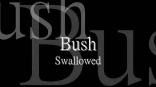 Bush  Swallowed lyric HQ [upl. by Afra]