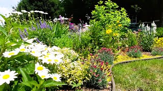 Small Front Yard Garden  Perennial Garden Tour garden gardentour gardening new relaxing [upl. by Casper]