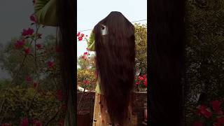 🦋 For long hair lovers🧿💫hair haircare longhair trendingshorts viralvideo [upl. by Bertilla]