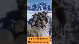 М5 Уфа  Челябинск 😄 приколы м5 трасса дальнобой [upl. by Fitton]