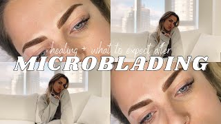 MICROBLADING HEALING PROCESS What to Expect PostMicroblading QampA [upl. by Phelia]