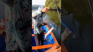 ഇവൻ കടിച്ചാൽ തീർന്നു😧😨  Mangrove Jacks Fishing  Village Fishing Videos  Fishing Videos  Virals [upl. by Nilyak]