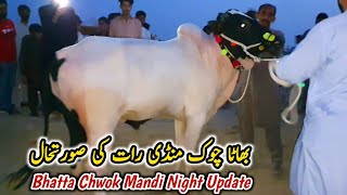 Night Update Bhatta Chowk Mandi 9 June 2023  Bakra Mandi Rawalpindi [upl. by Antone864]