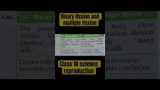 Difference between binary fission and multiple fission [upl. by Aynnek274]