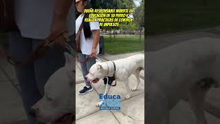 PRESA CANARIO VS DOGO ARGENTINO ¿QUIEN GANA NO SE PERO SE QUE PIERDEN LOS PERROS Y LA SOCIEDAD [upl. by Idyak208]