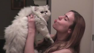 JEN REUNITES WITH OUR KITTEN CLOUD [upl. by Sherborne]