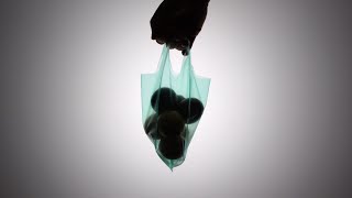 Homemade Bioplastic bag [upl. by Zenitram]