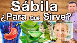 SABILA O ALOE VERA  ¿Para Qué Sirve  Beneficios Para Tu Salud Y Belleza [upl. by Jimmy]