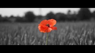 Sunday 10th November 2024 A Service for Remembrance Sunday [upl. by Lyudmila]