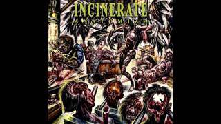 Incinerate  Anatomize FULL ALBUM 2008  Technical Brutal Death Metal [upl. by Tcideneb116]