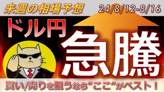 【ドル円最新予想】ドル円の上昇、ここで止まります。注目レートと攻め方を簡単解説！来週の為替相場予想と投資戦略！CPI・小売売上高・日経平均・暴落・急騰・株価に注目24812週【FX】※ [upl. by Shellie552]