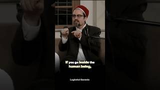 You are not Insignificant  Shaykh Hamza Yusuf hamzayusuf islam quran imamali [upl. by Manas]