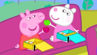 El Viaje Escolar  Peppa Pig en Español Episodios Completos [upl. by Atilek993]