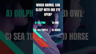 KnowTheFactAnimals animals quiz facts knowledge english basicenglishquiz testyourknowledge [upl. by Alvis497]