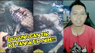 DUYUNG CANTIK KETANGKEP JARING NELAYAN 😱⁉ REACT NGAKAK [upl. by Bindman]