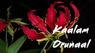 Tamil Eelam Song  Kaalam Orunaal [upl. by Mccafferty]