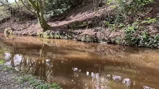 Brecon Monmouth Canal Springtime 2024 [upl. by Bunce914]