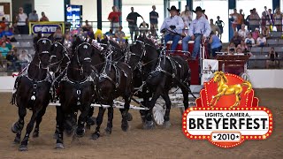 Best of BreyerFest 2010  Breyer Model Horses [upl. by Hermann]