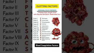 Clotting Factors Mnemonics  Blood Coagulation Factorsneet coagulation clotting ncert shorts [upl. by Jacquelin]