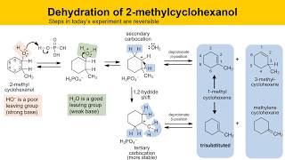 Dehydration of 2Methylcyclohexanol Experiment Part 1 Prelab Lecture [upl. by Ad613]