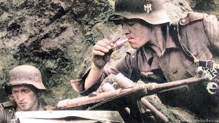 WW2 Waffen SS Intense Combat Footage [upl. by Hgielrak]