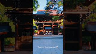 Meiji Jingu Shrine in Tokyo Japan 🇯🇵 tokyo japan travel asia [upl. by Vitoria]