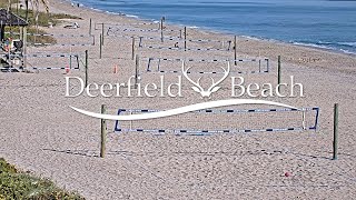 Live  Sport Camera  Deerfield Beach Florida USA [upl. by Enyale]