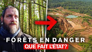 Forêts en danger  que fait lEtat [upl. by Nohtan]