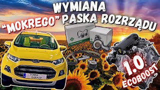 Mokry Pasek Rozrządu  Silnik 10 EcoBoost [upl. by Donohue]