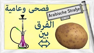 الفرق بين الفصحى والعامية في الألمانية والعربية  Unterschied zwischen Hochsprache  Umgangssprache [upl. by London]