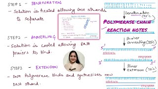 PCR Polymerase Chain Reaction notes [upl. by Patsy]