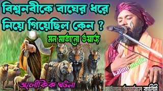 বিশ্বনবীকে বাঘের ধরে নিয়ে গিয়েছিল কেন  moulana tafajul kalimi  Kalimi media [upl. by Avevoneg]