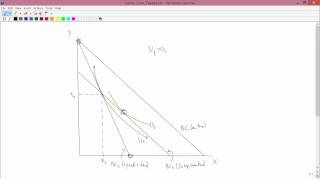 Intermediate Microeconomics Lump Sum Taxes Part 4 [upl. by Datha]