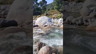 Natures treat River Neugal Palampur District Kangra Himachal Pradesh [upl. by Ancelin]