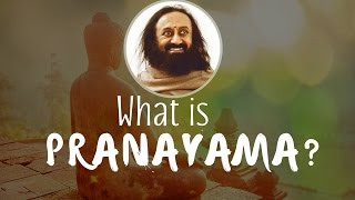 What is Prana and Pranayama  Gurudev Sri Sri Ravi Shankar [upl. by Chafee]